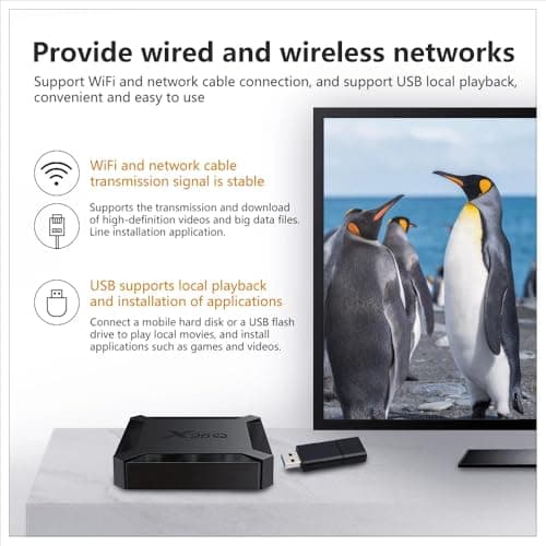 AUSEK X96Q Mini PC Box with Allwinner H313 Quad-Core, 2GB RAM, 16GB Storage, HDMI Output, Dual USB, TF Card Slot, WiFi | Android 10 Based Android PC Box 5