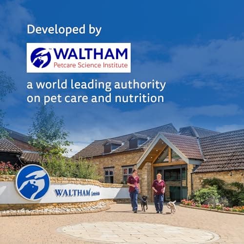 Chappi Adult (1+ Years) Dry Dog Food, Chicken & Rice, 7 kg, Complete and Balanced Food for Adult Dogs 6