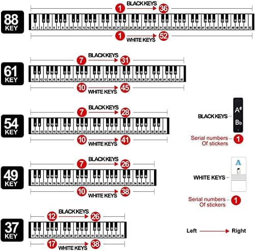 DOMENICO Electronic Digital Piano Keyboard 61 Keys- Multi-Function Portable Piano Keyboard Electronic Organ With Piano Bag + Piano Stickers 4