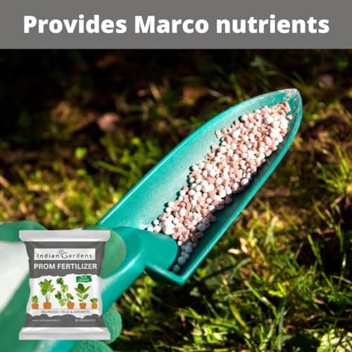 Indian Gardens - PROM Fertilizer for Plants | Plant Nutrient and Plant Food | All Plants | Gardening - 400 Grams 3