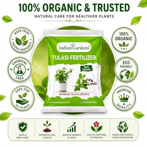 Indian Gardens - Tulasi Organic Fertilizer (0.5 Kg) | Holy Basil | Growth Fertilizer | Organic Plant Food | Tulasi Leaf Health 5