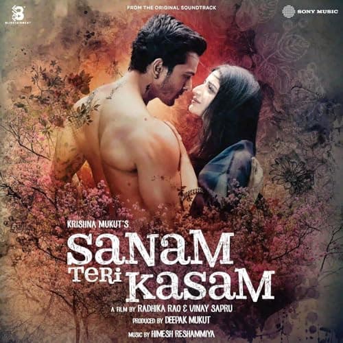 Sanam Teri Kasam LP Vinyl Record