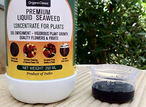 OrganicDews Liquid Seaweed Concentrate for Plants 250 ml with Measuring Cup 25 ml Fertilizer for All Indoor and Outdoor Plants 2