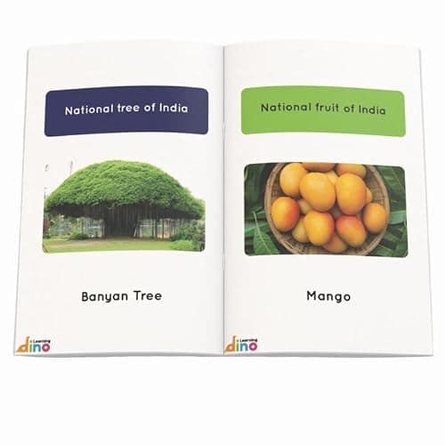 General Knowledge Picture Book For Kids About India | 100 GK Questions and Answers about India with Pictures for Kids | By Learning Dino 3