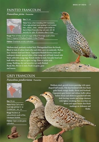 Birds of India - A Pictorial Field Guide 3