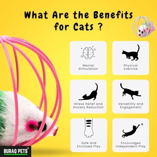 BURAQ 2 Pcs Cat Ball Toy, Cute & Fun Interactive Caged Rats Rolling Cat Balls, Mouse Ball Toys Cat Toys for Kittens 4