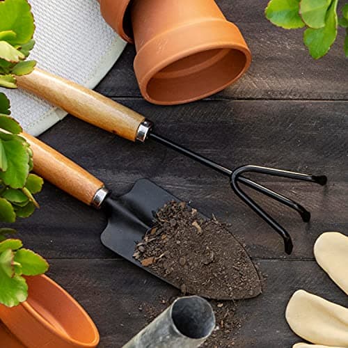 Oblivion Gardening Tools Set of 5 Pcs - Flower Cutter, Garden Shear, Pruner, Gardening Gloves & Big Garden Tool Set Wooden Handle Hand Cultivator, Trowel, Garden Fork 3