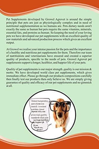 Growel Electral Powder – Electrolytes with Vitamins, Minerals and Probiotics for Dog and Cat – 100 gm. 4