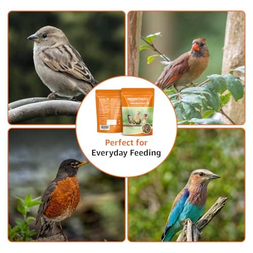 Amazon Basics Mix Seed Bird Food for Wild Birds | 1 Kg | 100% Natural | Energy-Rich & Easily Digestible | Suitable for All Life Stages | Made in India 3