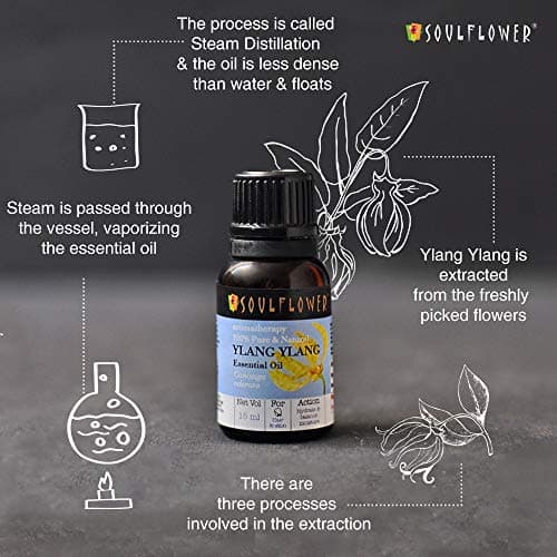 Soulflower Ylang Essential Oil for Strengthen Hair Roots, Control Hair Fall, Skin Moisture, Controls Acne, Aromatherapy - 100% Pure, Natural & Undiluted Premium Essential Oil, 15ml 4