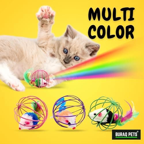 BURAQ 2 Pcs Cat Ball Toy, Cute & Fun Interactive Caged Rats Rolling Cat Balls, Mouse Ball Toys Cat Toys for Kittens 5