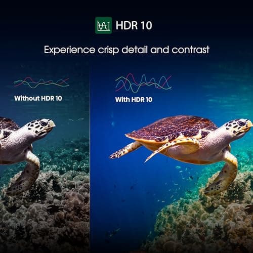 Toshiba 108 cm (43 inches) E350SP Series 4K Ultra HD Smart LED Google TV 43E350SP 4