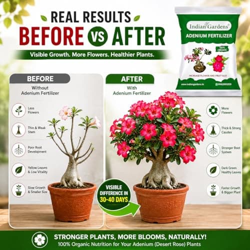 Indian Gardens - Adenium Organic Fertilizer (1 Kg) | Plant Food For Flowering Plants | Flower Booster 5