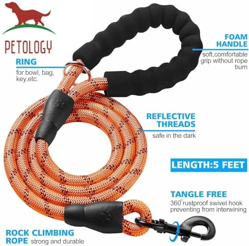 Petology Reflective Dog Leash & Collar Set for Medium Dogs (30-40cms) | 5ft Nylon Leash | Soft Neoprene Padded with Safe & Quick Release Buckle | Comfortable, Lightweight & Durable 2