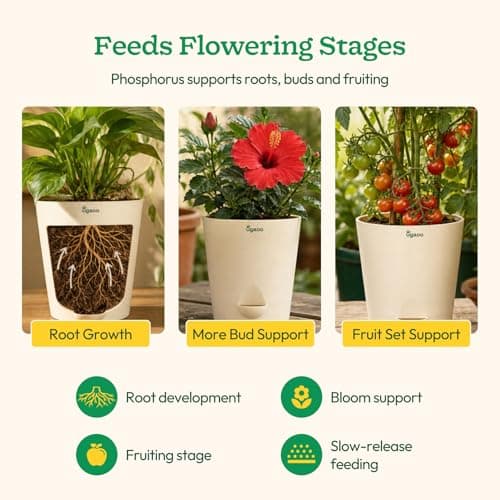 Ugaoo Bone Meal Fertilizer for Plants - 1 Kg | Organic Phosphorus and Calcium Source for Flowering and Fruiting Plants | Natural Slow-Release Plant Food for Roses Hibiscus Tomato and Home Garden Pots 4