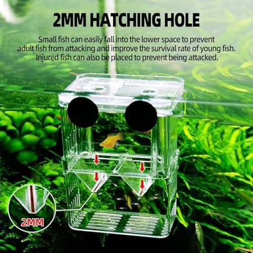 VAYINATO Aquarium (Large) Guppy Double Deck Breeding Box with Suction Cups – 13x10x7cm | Transparent Isolation & Breeding Tank for Fish, Fry & Betta | Sturdy, Safe & Easy to Use 5