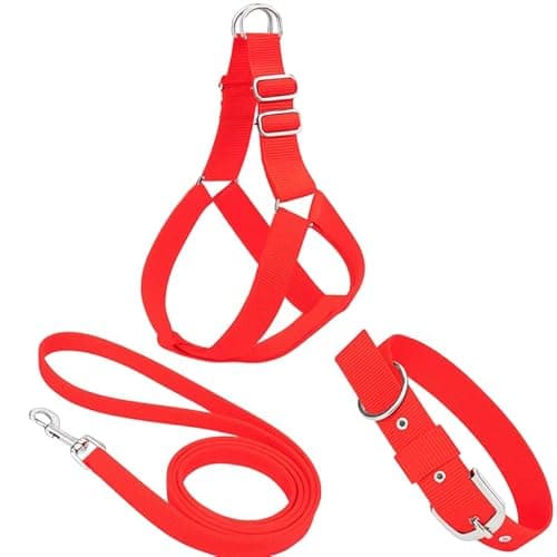 Pawpourri Adjustable Dog Harness, Leash & Collar Combo | Durable Nylon Dog Harness | Comfortable Fit for Daily Walks & Training | Harness Combo for Medium Breeds | Set of 3 pc | Red, Medium