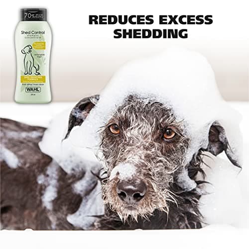 Wahl 820005 Shed Control Shampoo, Lemongrass Sage, 1 Piece 2