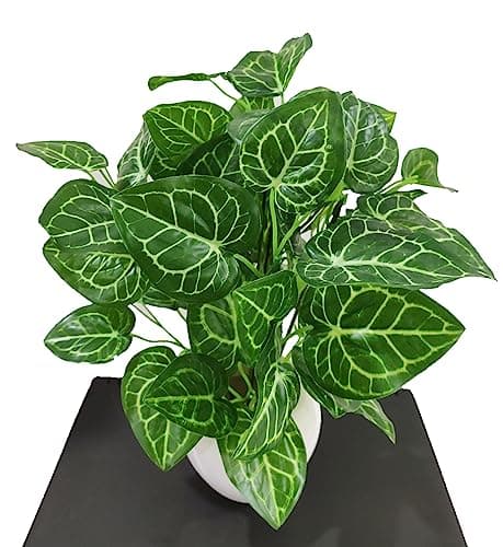 BAARIG Natural Looking Artificial Money Plant/Tree with Pot | Ornamental Plant for Interior Decor | Home/Shop/Office Décor (Green) 4