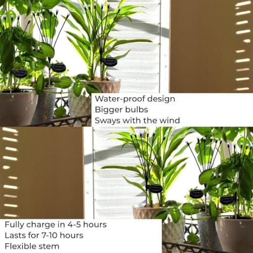 TrustBasket Fireflies Solar Light - Yellow - Set of 2 (6 Bulbs Each) Decorative Waterproof, Solar Starburst Swaying Lights When Wind Blows| Solar Lights Outdoor |LED Solar Garden Lights 5
