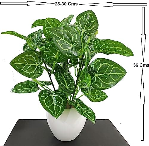 BAARIG Natural Looking Artificial Money Plant/Tree with Pot | Ornamental Plant for Interior Decor | Home/Shop/Office Décor (Green) 3