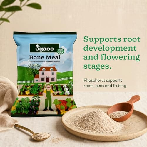 Ugaoo Bone Meal Fertilizer for Plants - 1 Kg | Organic Phosphorus and Calcium Source for Flowering and Fruiting Plants | Natural Slow-Release Plant Food for Roses Hibiscus Tomato and Home Garden Pots 2