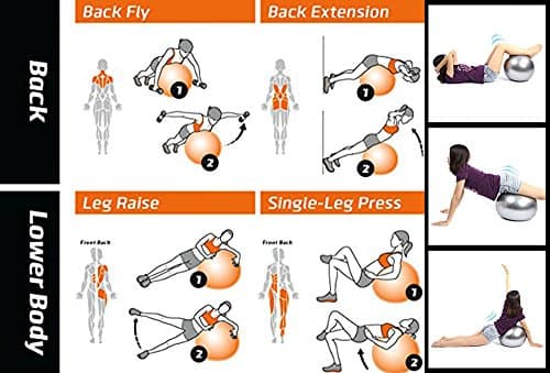 LAFILLETTE Anti Burst Gym Ball for Yoga Grey Color 5