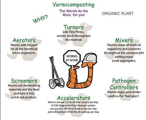 ORGANIC PLANT Primium Quality Vermicompost for Plants (25kg) 4