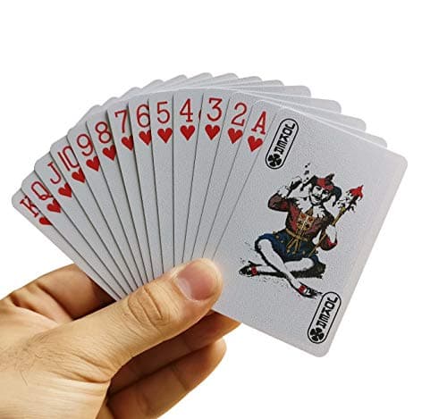 The Ace Card Company Premium Plastic Playing Cards with Case (2 Decks) - Made in India, Bridge Size, Waterproof - Multicolor, Pack of 2 2