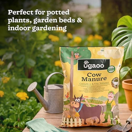 Ugaoo Cow Dung Manure Fertilizers for Plants & Home Gardening - 5 kg 2