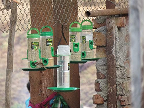 Amijivdaya Large Bird Feeder with Hut Multi Color (1 Pieces) 5