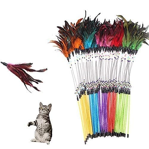 The Pets Company Cat Spring Treaser, Feather Dangler Wand, Interactive Stick Toy for Cats & Kittens 5