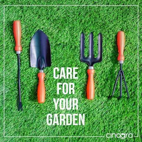 Cinagro Metal Grarden Tools Kit, Set of 5, Weeder, Big & Small Trowel 5