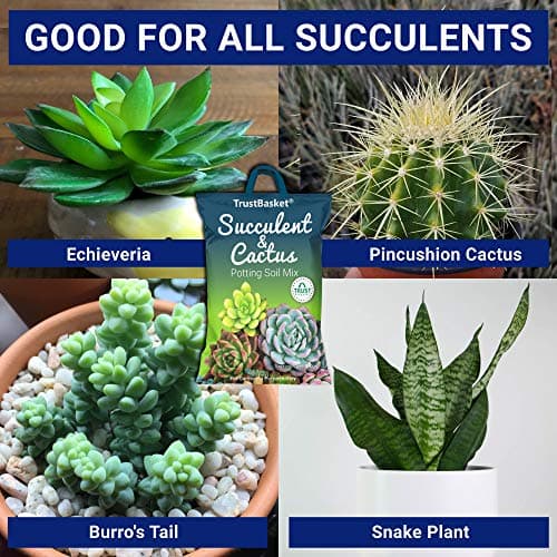 TrustBasket 100% Organic Succulent and Cactus Potting Soil Mix-5kg Premium Potting Mix with Perlite, Well-Drained & Aerated, Ideal for Succulents, Cacti, Root Growth | Soil for Indoor & Outdoor Plants 2
