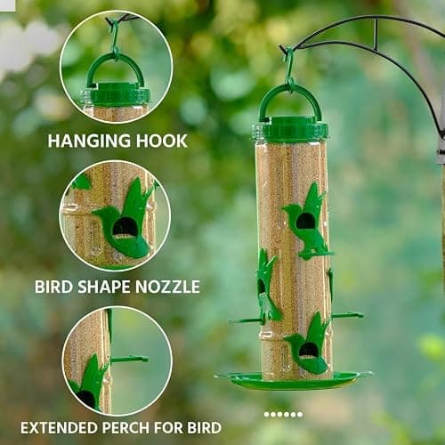 Skybeings Plastic Large Bird Feeder | 6 Feed Nozzles | 30cm Height | 900gram Bird Food Capacity | Hanging Bird-Feeder for Balcony | Bird Food Feeder | Garden Outdoor Hanging | 2 psc Green 3