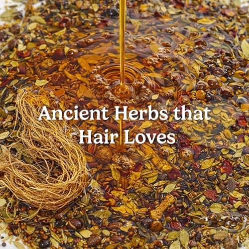 Homeda Premium Herbal Hair Oil Mix Herbs with 18 Ayurvedic Jadibuti Infused Oil - Natural Herbs for Hair Growth | Strong Roots | DIY Infusion | Hair Care (75 Grams) 2