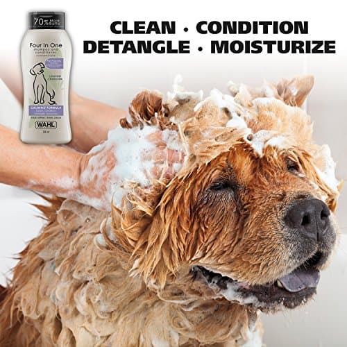 Wahl 820000 4-in-1 Shampoo, Lavender Chamomile 700 ML (Dogs) 2