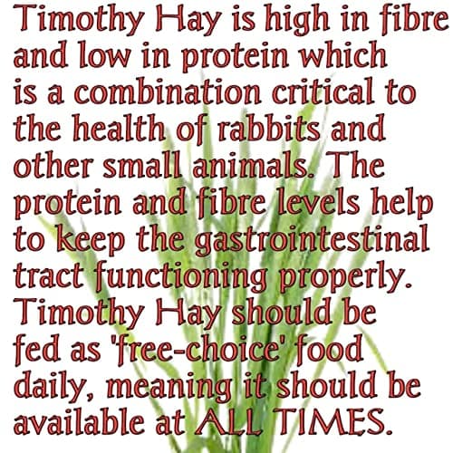 Herbal Sinovet India Premium Alfalfa/Timothy/Lucerne/Peanut Mix Hay for Rabbit/Guinea Pig/Hamster (3kg) 2