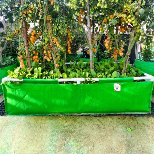 ORGANIC BAZAR 48x24x12 Rectangular Grow Bag with Supporting PVC Pipes for Terrace Garden | Premium HDPE 350 GSM Raised Green Plant Bags Planter (Pack of 1)