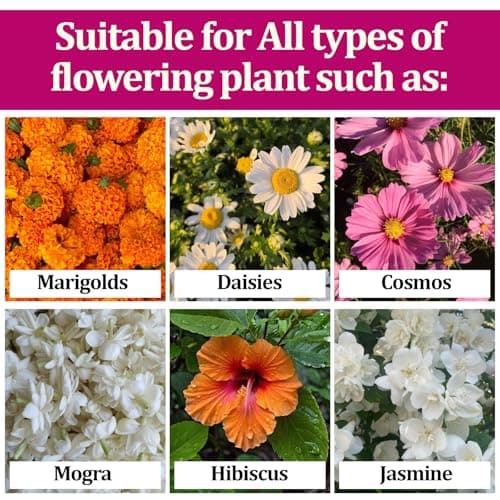 Garden Genie Flower Booster Fertilizer 830g | Organic Fertilizer For Flowering Plants | Fertilizer for Flower Plants | Essential Flowering Fertilizer Powder 5