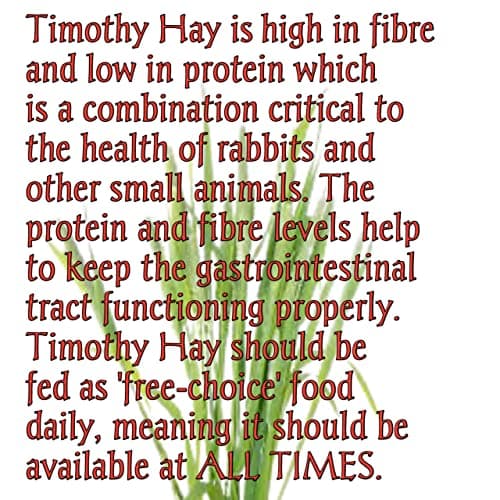 Herbal Sinovet India Premium Alfalfa/Timothy/Lucerne/Mix hay for Rabbit/Guinea Pig/Hamster and Small Pets 4