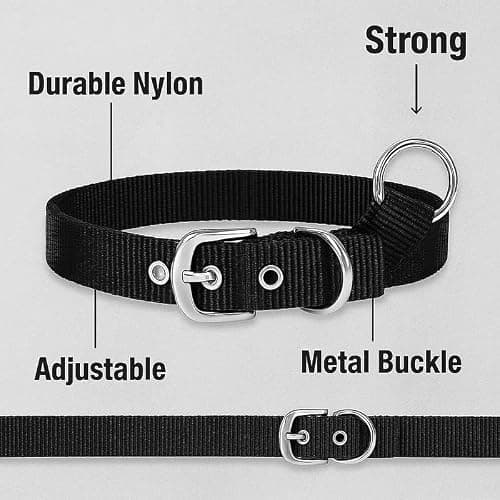 Pawpourri Adjustable Dog Harness, Leash & Collar Combo | Durable Nylon Dog Harness | Comfortable Fit for Daily Walks & Training | Harness Combo for Medium Breeds | Set of 3 pc | Black, Large 5