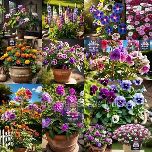 Low Maintenance Hybrid Flower Seeds Combo Pack- All Year Flower Seeds Supply (40 VARIETIES) 3