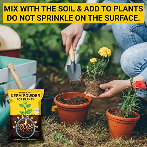 TrustBasket Neem Khali/Neem Cake Powder - 450gm - Extracted Through Cold Press Technology - Higher Azadirachtin & Neem Oil Content - Organic Fertilizer and Pest Repellent for Plants 2