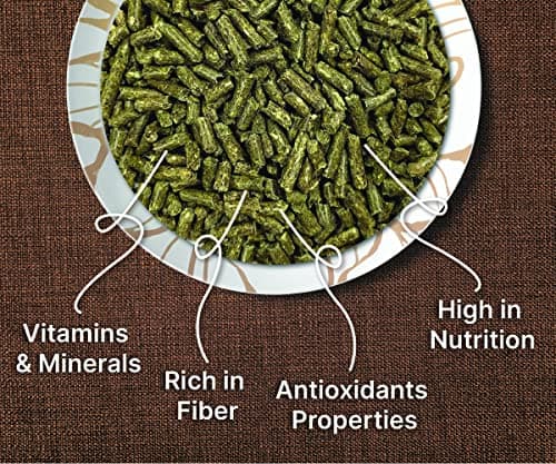 BOLTZ Guinea Pellet Pig Food For All Life Stages, Nutritionist Choice (ISO 9001 Certified), Medium, 1200 G, Vegetable 2