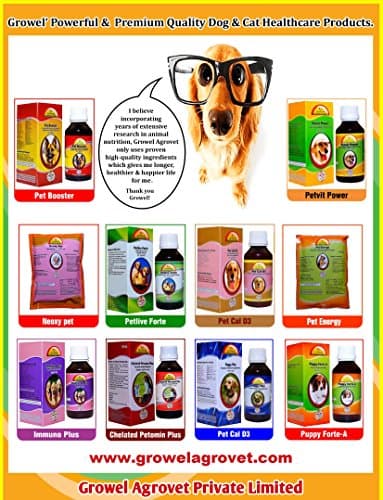 Growel Electral Powder – Electrolytes with Vitamins, Minerals and Probiotics for Dog and Cat – 100 gm. 3