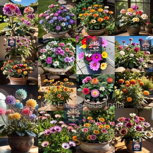 Low Maintenance Hybrid Flower Seeds Combo Pack- All Year Flower Seeds Supply (40 VARIETIES) 4