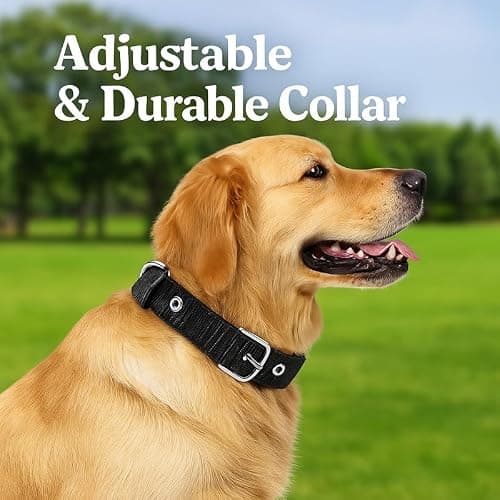 Pawpourri Adjustable Dog Harness, Leash & Collar Combo | Durable Nylon Dog Harness | Comfortable Fit for Daily Walks & Training | Harness Combo for Medium Breeds | Set of 3 pc | Black, Large 4