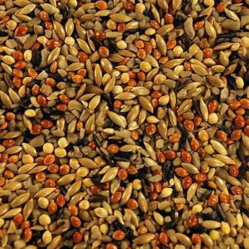 MAF Bird Feeder with Refill Seed Mix Free, Nano Bird Feeder for Food, Wild Bird Food Feeder for Sparrow, Hanging Water and Food Feeder 3