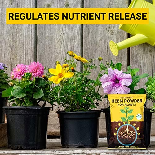 TrustBasket Neem Khali/Neem Cake Powder - 450gm - Extracted Through Cold Press Technology - Higher Azadirachtin & Neem Oil Content - Organic Fertilizer and Pest Repellent for Plants 4